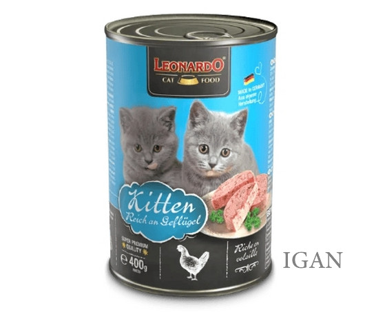kitten-400g – 4