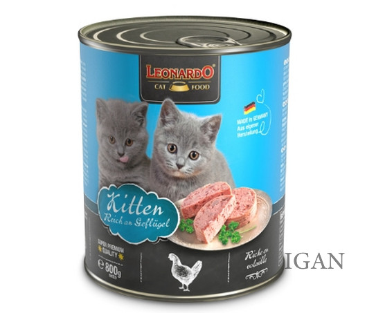 kitten-800g – 02