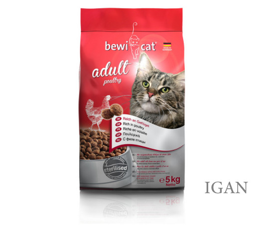 Bewi-Cat_751515 (1)