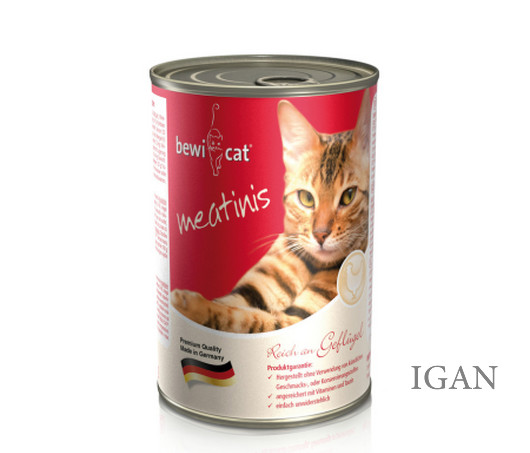 Bewi-Cat_746216 (1)