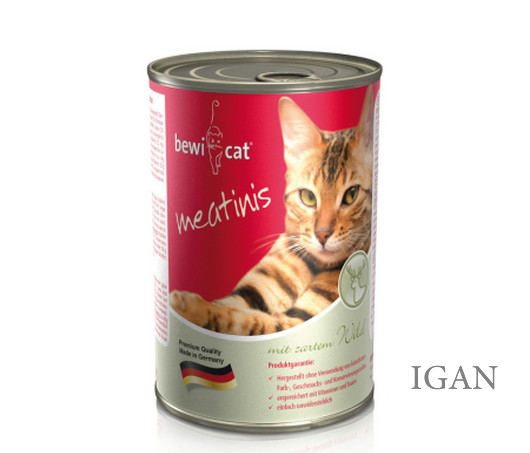 Bewi-Cat_746226 (1)