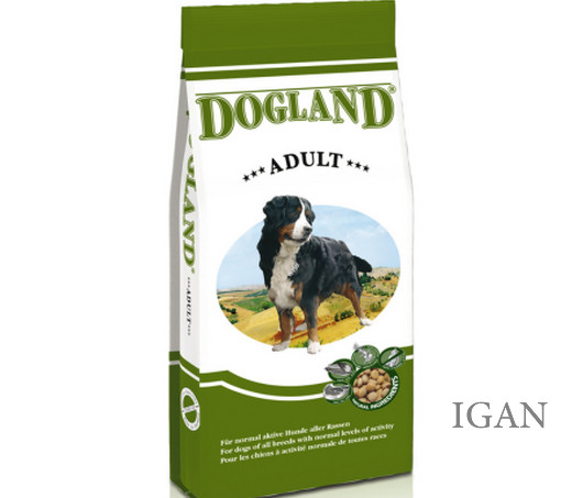 dolgand_adult